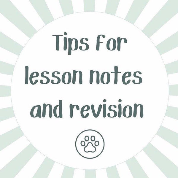 Tips for lesson notes and revision