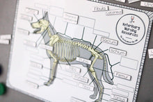 Load image into Gallery viewer, A4 Canine Skeletal System Matching Game
