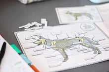 Load image into Gallery viewer, A4 Canine Skeletal System Matching Game
